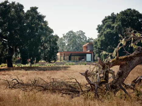Meadow House
